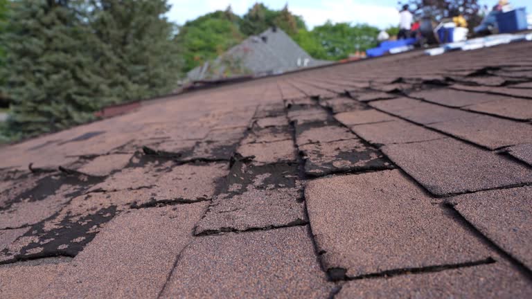 Best Gutter Installation and Repair  in Channel Islands Beach, CA