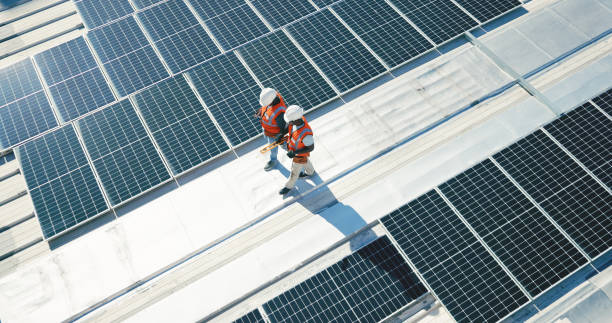 Best Roof Moss and Algae Removal  in Channel Islands Beach, CA